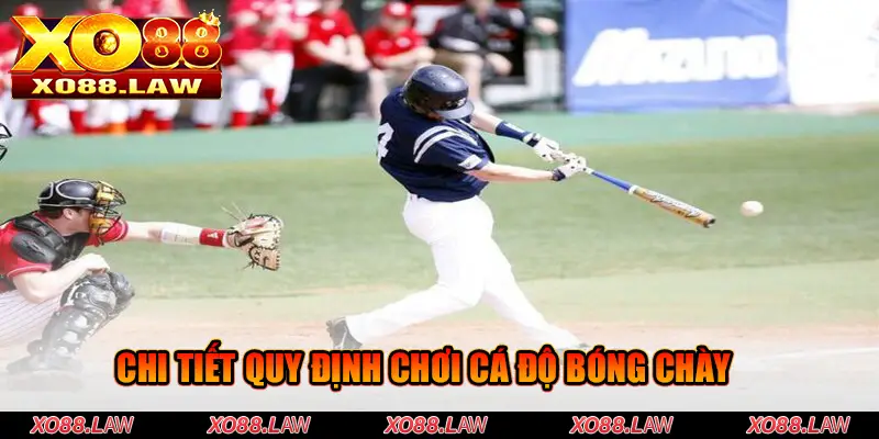 Chi tiết quy định chơi cá độ bóng chày.